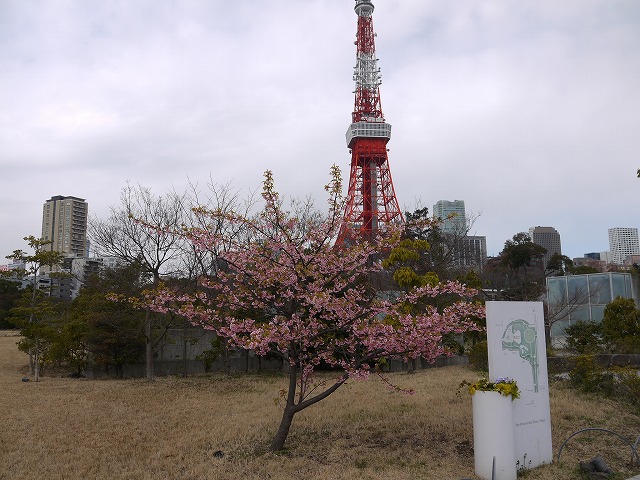 ザ・プリンス パークタワー東京の広場
