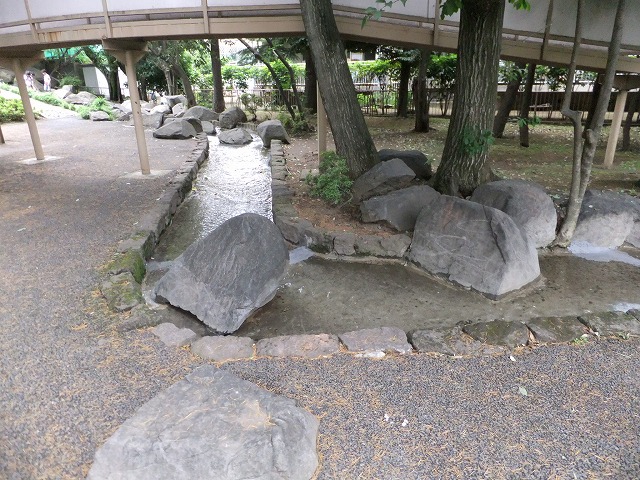 川の公園