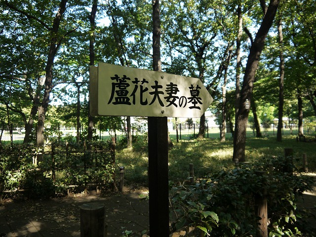 蘆花の墓