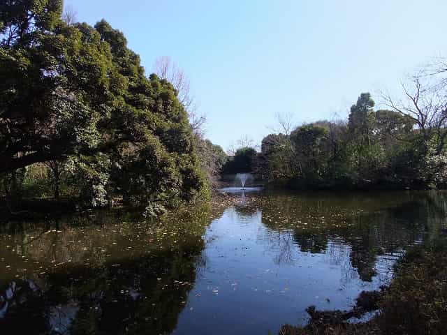 和田堀池