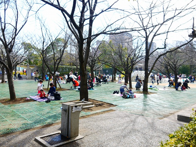 遊具広場・桜広場