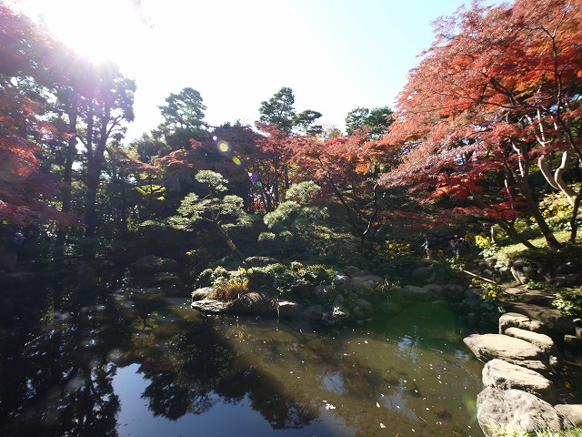 次郎弁天の池