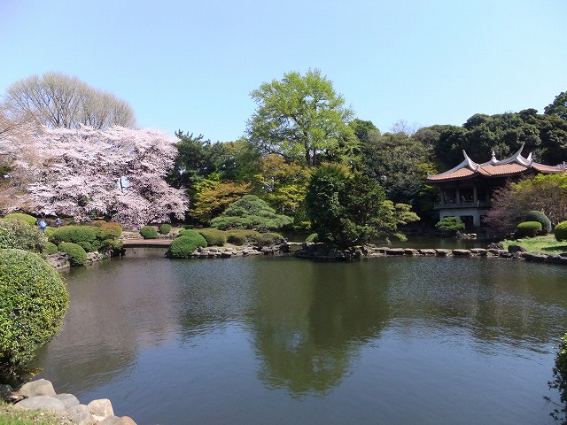 日本庭園 日本庭園内の旧御涼亭（台湾閣）東京都選定歴史的建造物