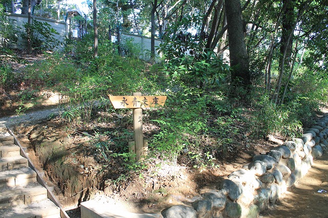 新江戸川公園