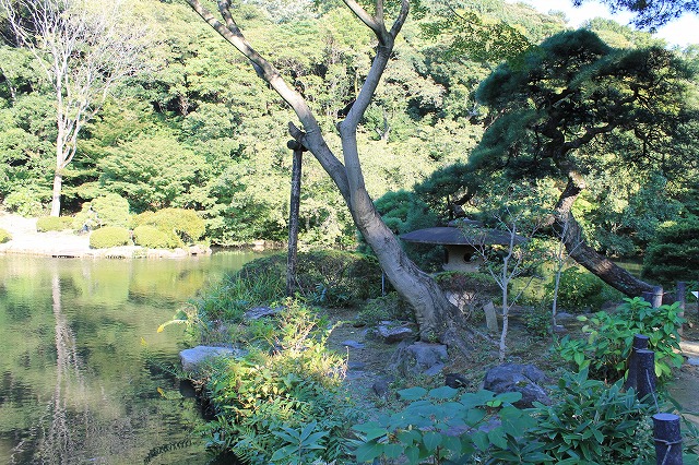 新江戸川公園