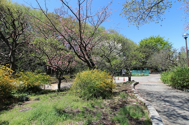 赤塚溜池公園