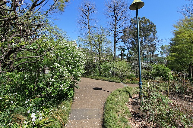 赤塚植物園
