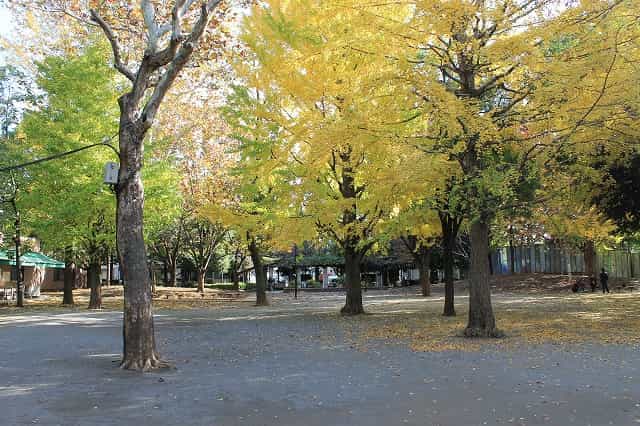 新井薬師公園