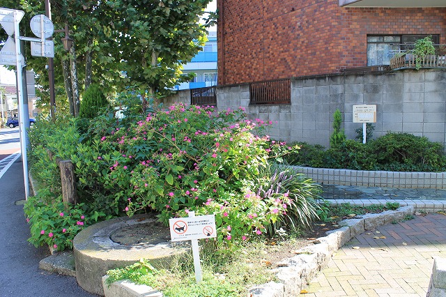 千川親水公園