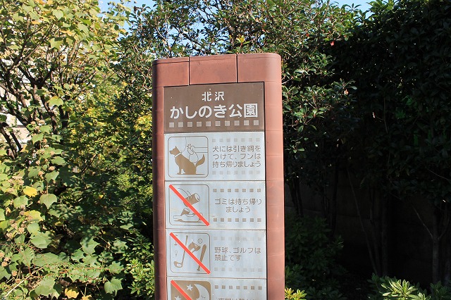 北沢かしのき公園