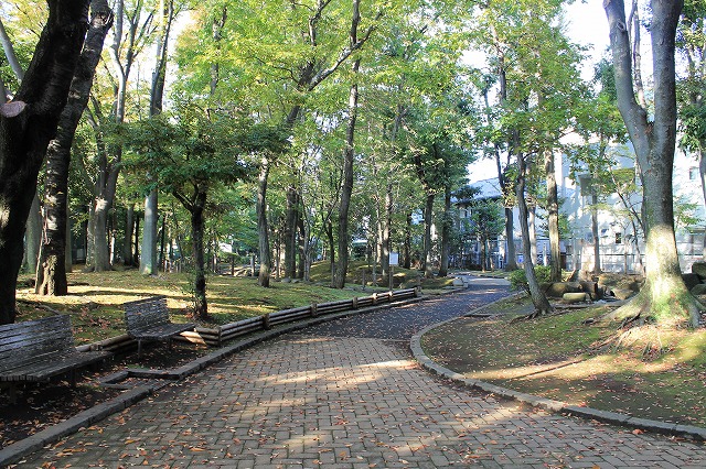 駒沢緑泉公園