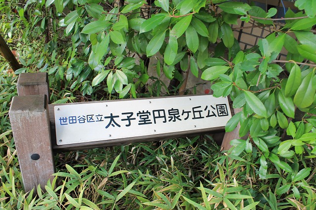 太子堂円泉ヶ丘公園