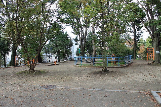 羽根木公園