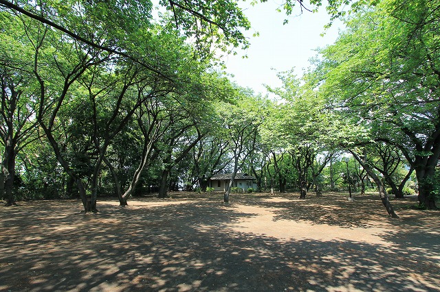 上野毛自然公園