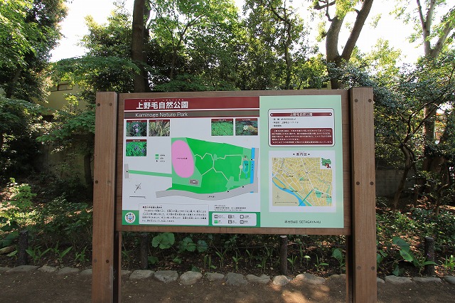 上野毛自然公園