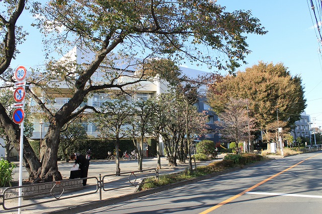 松沢公園