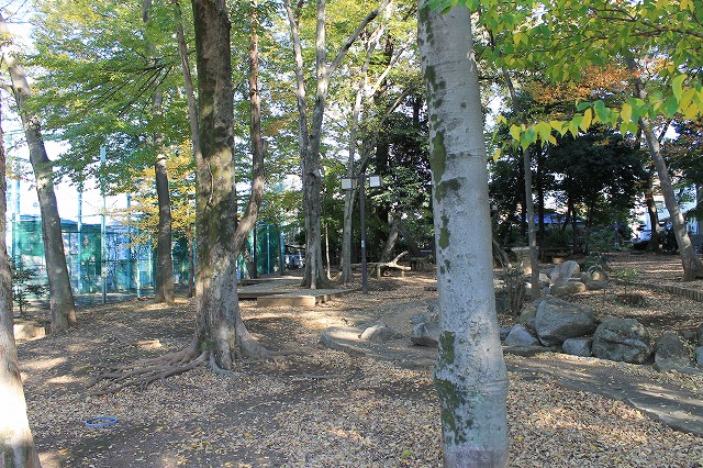清水森公園