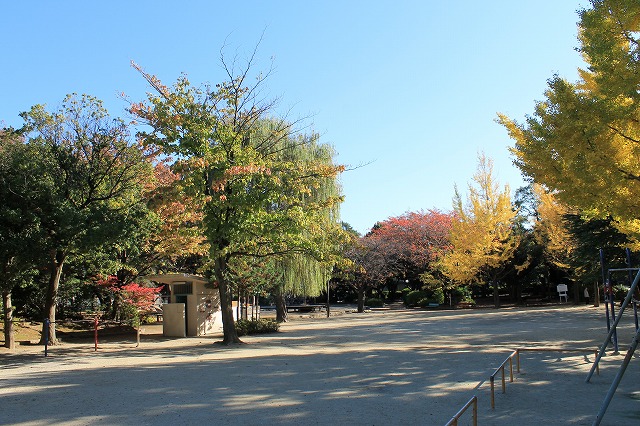 妙正寺公園
