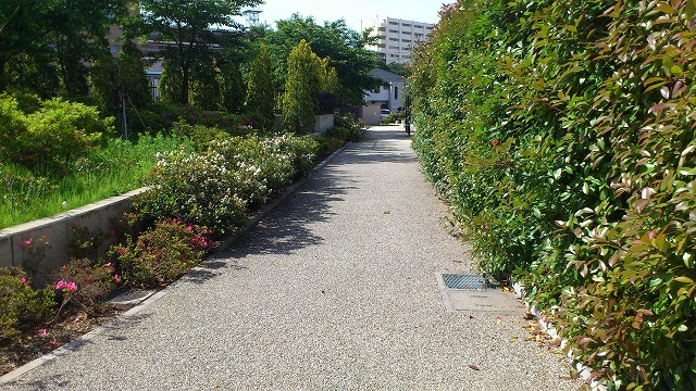 定塚橋公園