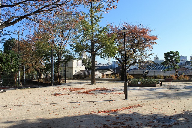 和田さくらの坂公園