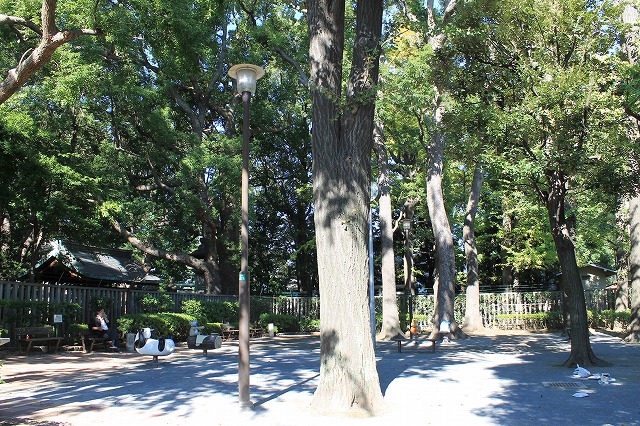 西大井緑地公園