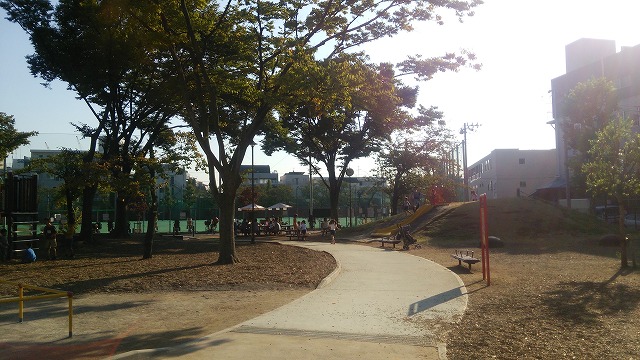 鮫洲運動公園 野球場横にはパラソルがあって、そこから子供たちの野球を観戦できます。