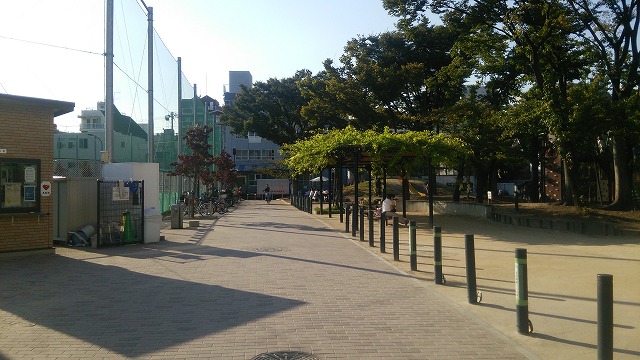 鮫洲運動公園 野球場横の道