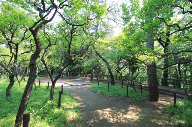 宝来公園