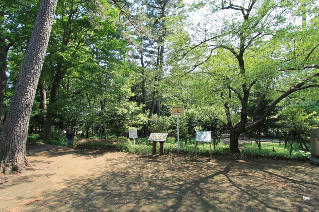 宝来公園