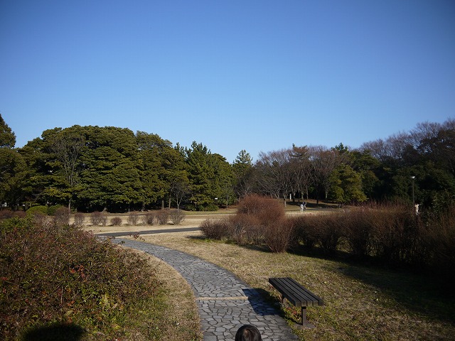 辰巳の森緑道公園 