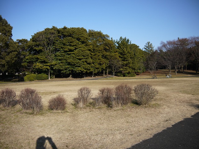 辰巳の森緑道公園 