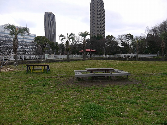 猿江恩賜公園 広場のベンチ