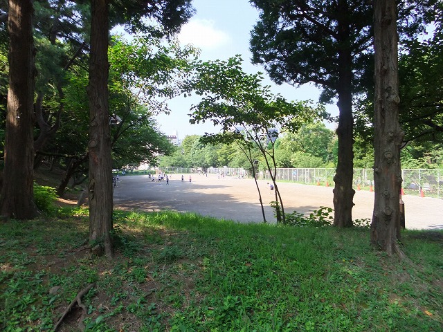 青山公園（南地区）
