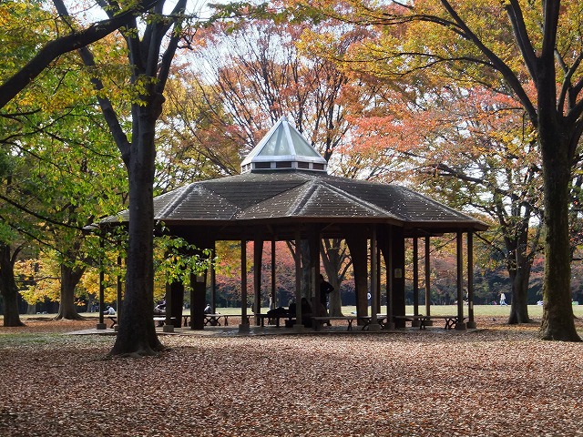 代々木公園 公園内にある休憩所です。
